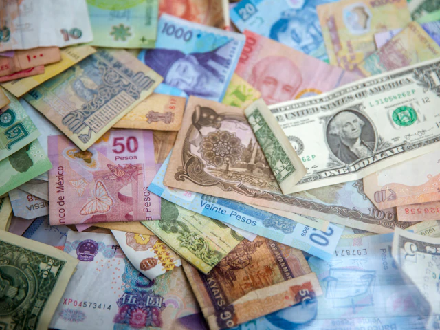 Taller Divisas y Economía Venezolana